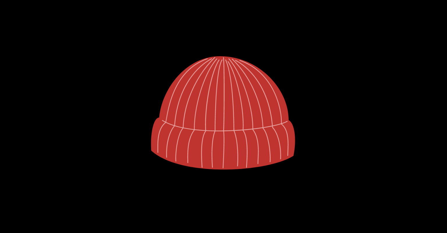 Top 5 Best Beanie Hats Winter & Fall Essentials OnPointFresh