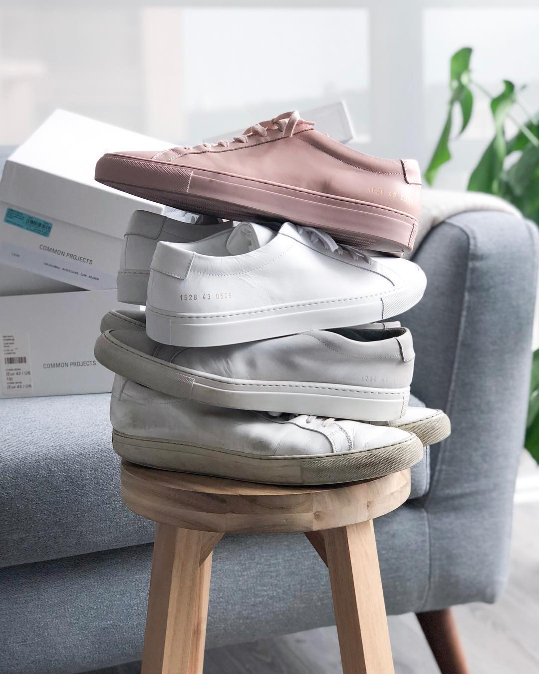 16 Best Common Projects Alternatives – OnPointFresh